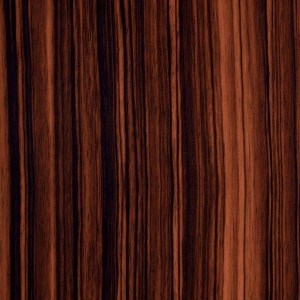 204 EBONY