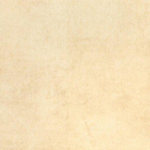 274  TERRA LATTE