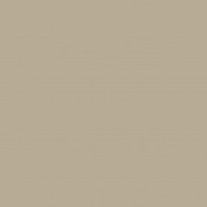 210 S.T. MATT BEIGE A.F.P