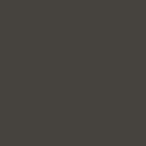 213 COOL GRAY