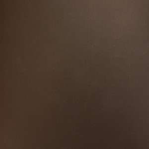 4003 PICASSO BRONZE