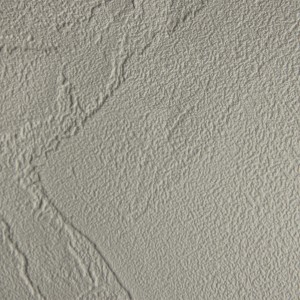 4005 LIGHT CEMENT
