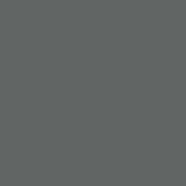 SMOKY OLIVE