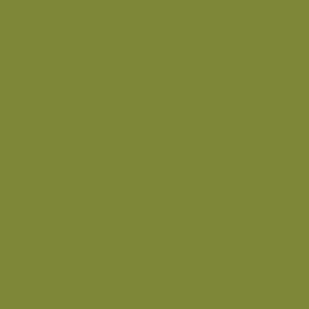 HG OLIVE GREEN