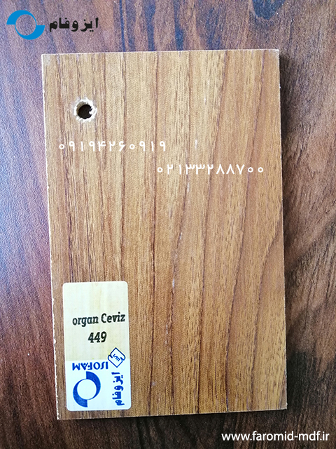 organ Ceviz