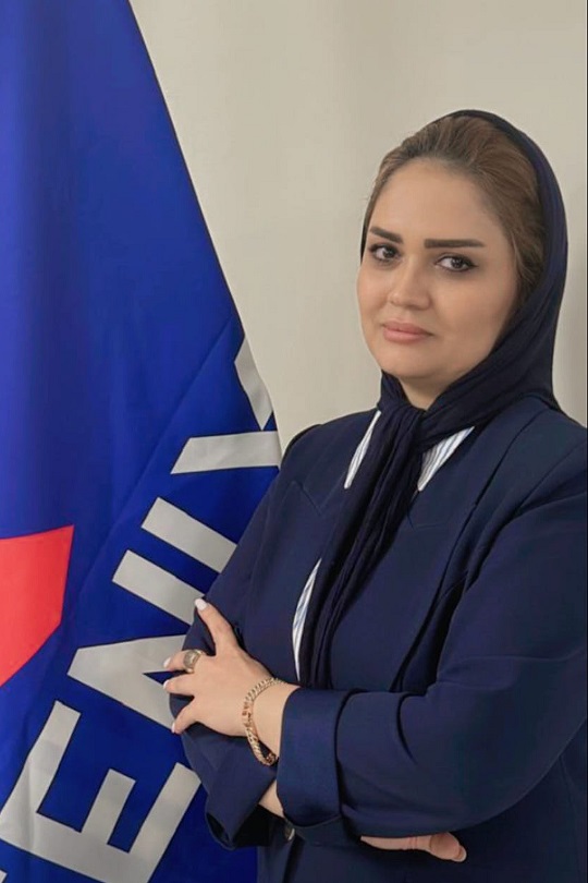 مینا خیابانی